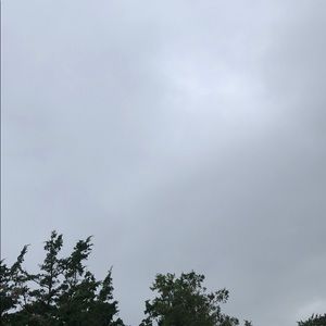 Meet your Posher, George